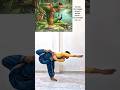 standing forward bend yogapose, Yoga for stretch &amp; balance #shorts #viral #trending #yoga #ytshorts