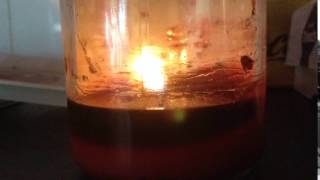 Vortex Records Lit Candle - Time Lapse