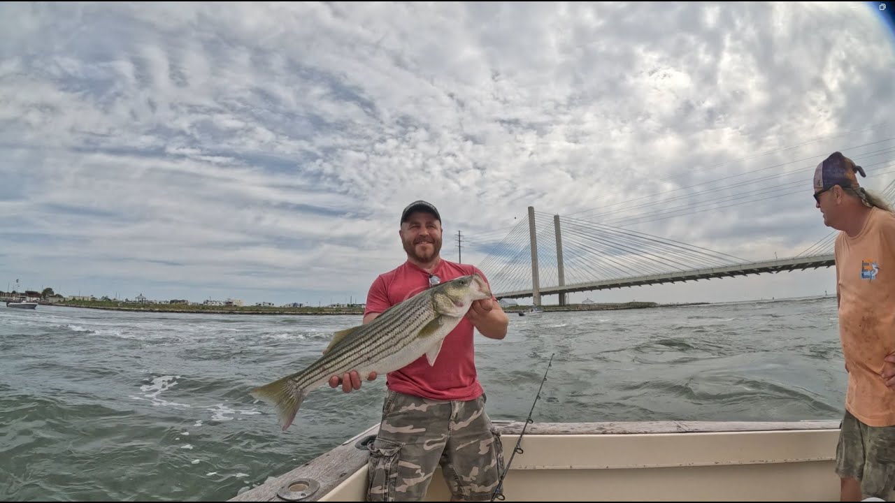 7/22/23 7/23/23 Indian River Inlet Fishing Highlights YouTube