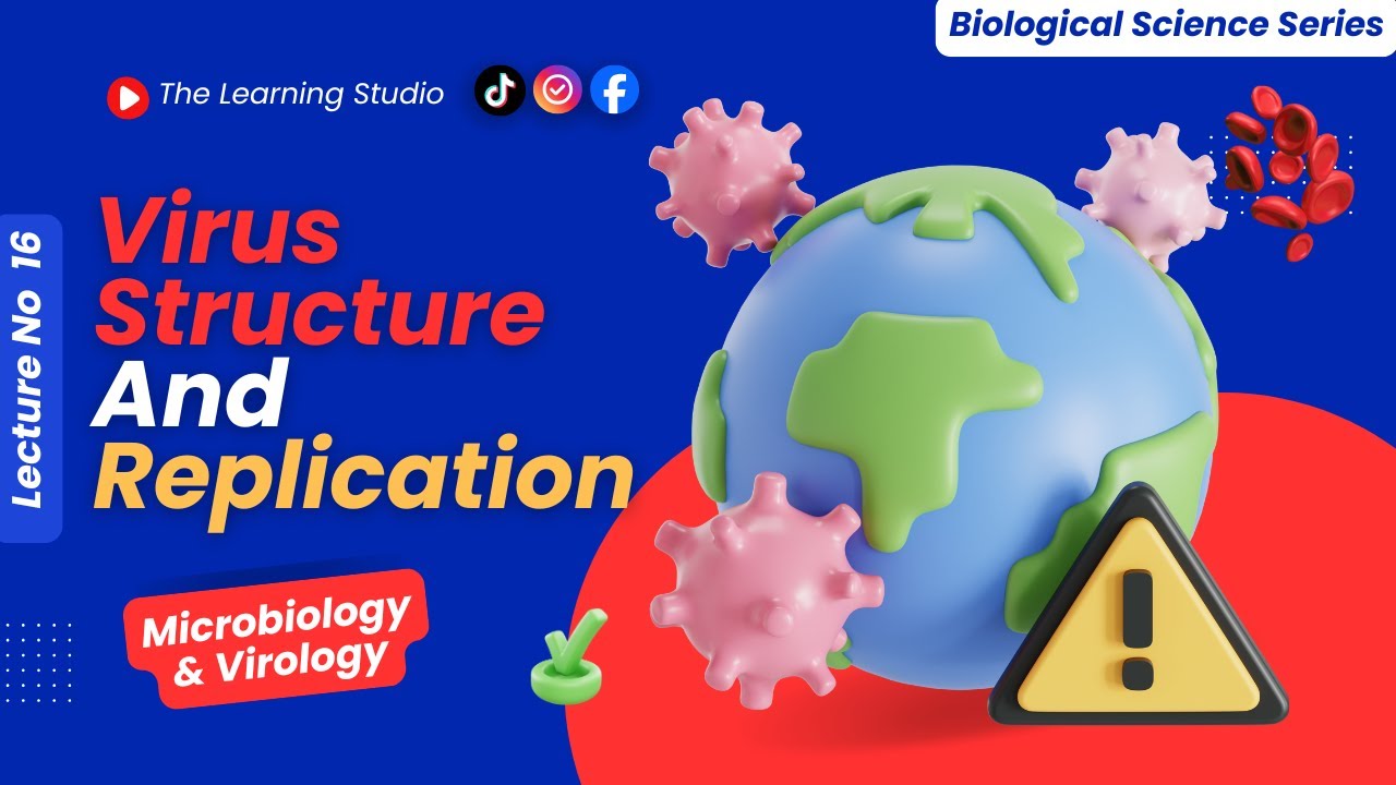 Bacterial Structure, Genetics & Antibiotic Resistance | Microbiology Crash Course | Lecture No 15
