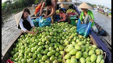 Du lịch miền tây - Khám phá Gò Công Tiền Giang, trãi nghiệm thú vị các món ăn đặc sắc nam bộ