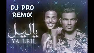 Amr Diab  Ya Leil   Dj Pro Remix         