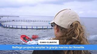 Balfegó Tramita Lampliació De La Granja Marina De Lametlla De Mar Per Adaptar Se Al C