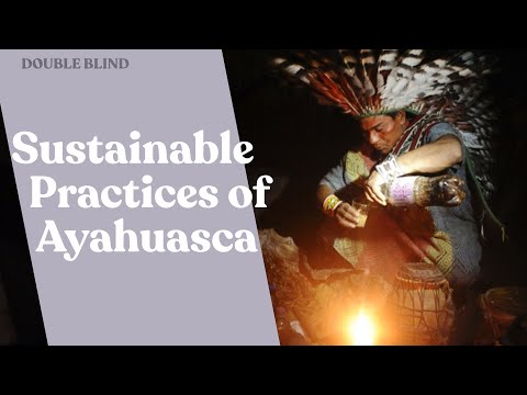 Ayahuasca & Sustainability 🧉 | DoubleBlind