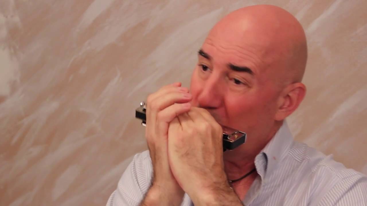 Vibrato series 3 Chromatic Harmonica YouTube