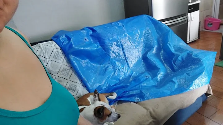 ENTROU MUITA GUA DENTRO DE CASA, VLOG DA NOSSA REA...
