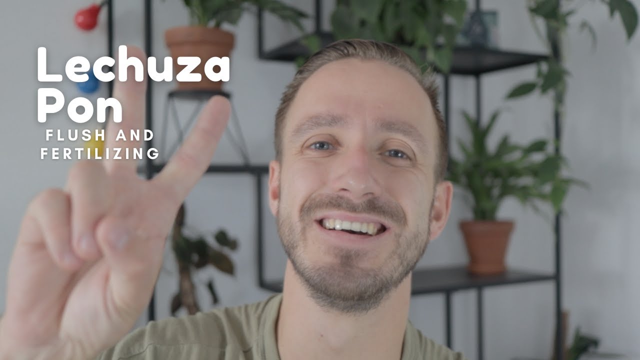 Growing Plants In Lechuza | Flush and Fertilizing | Houseplants 101