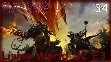 GW 2 PATH OF FIRE Gameplay - RANGER DRUID - Living World Season 2 Episode 3 (No Commentary) #34