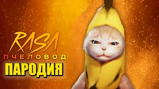 Песня Клип КОТ БАНАН Rasa - Пчеловод ПАРОДИЯ / Banana Cat