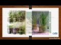 ¿Cómo decorar un jardín con objetos recuperados?
