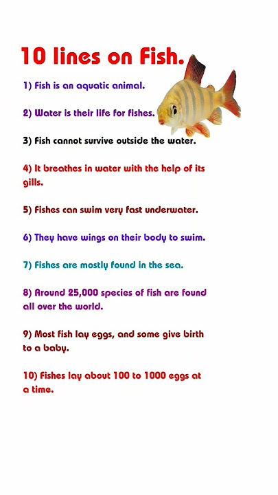 10 lines on Fish,10 lines essay on Fish,10 lines on fish in english,essay on fish,10 lines on fish.