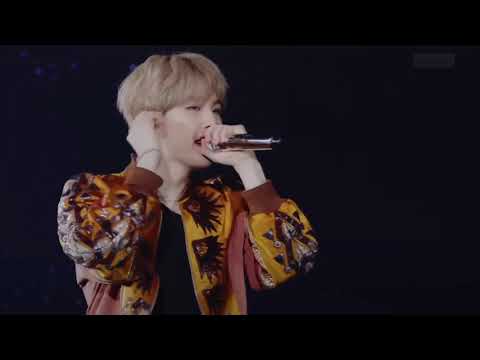 bts  Mikrokosmos/소우주.    日本語字幕　#bts