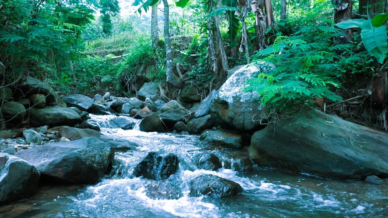 Powerful River Flow in Nature | Soothing Water Sounds for Deep Focus