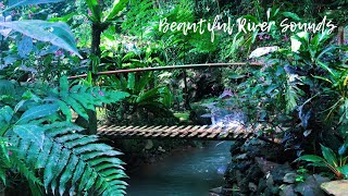 Peaceful Water Sounds in the Mountains: Crossing Traditional Bridge, Surrounded by Greenery, ASMR