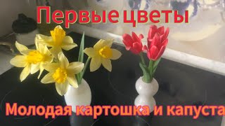 Первые цветы! Молодая картошка и капуста!😋