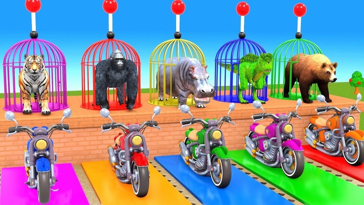 Long Slide Game With Cow Elephant Gorilla Hippopotamus Tiger 3d Animal Game Funny 3d Animals
