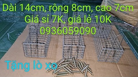 Bán bẫy chuột đồng, bán bẫy chuột đường mòn, bán rập chuột, bán gập chuột. 0936059090.
