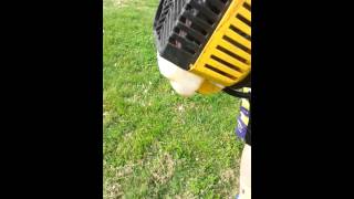 Bolens 25 cc trimmer review