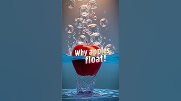 Why Do Apples Float? Discover the Science Behind It! #shorts #short #trending #facts #viral