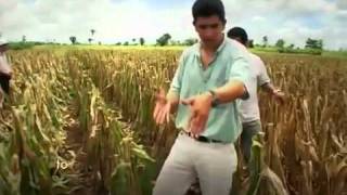 Brief Globalgap Movie