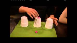 Spellz - Season One - Volume Two Featuring Jay Sankey By Gapc Entertainment - Magictricks.co.uk