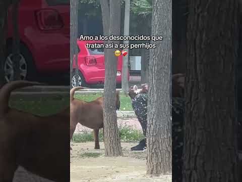 Tener Perrhijos #perros