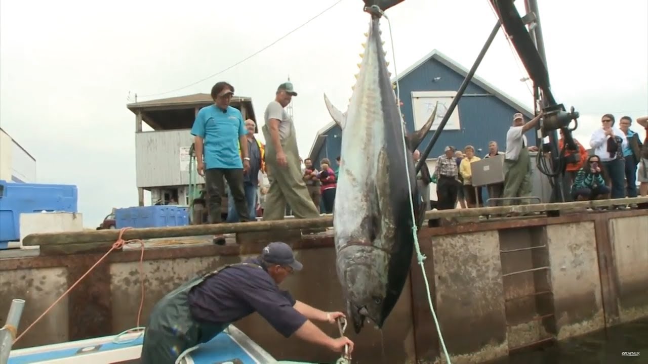 #130 【PART1】世界一忙しい釣り具屋のオヤジ、黒マグロに挑む～カナダ　プリンス・エドワード島～