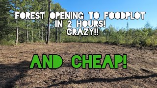 2 Hour Foodplot! Like Magic with a Forest Mulcher! CHEAPER THAN YOU THINK!