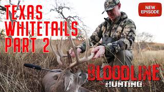 Part 2: Giant Texas Whitetails at Iron Game Ranch #deer #hunting screenshot 2