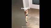 Philip's Visual Tutorials