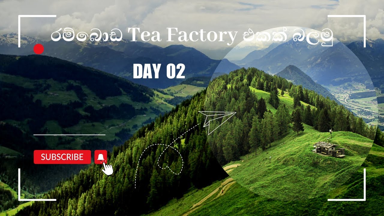 රම්බොඩ තියෙන ලස්සනම Tea Factory එකක් බලමු (Blue Field Tea Factory ...