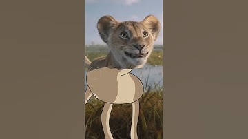 Funny Lion King 😂😂