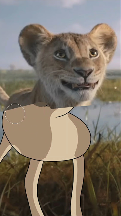 Funny Lion King 😂😂