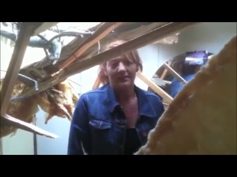 Tree Collapse - YouTube