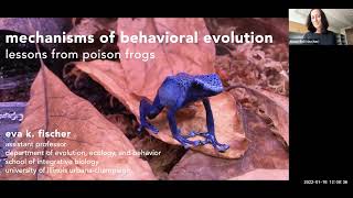 Mechanisms of Behavior Evolution: Lessons from Poison Frogs