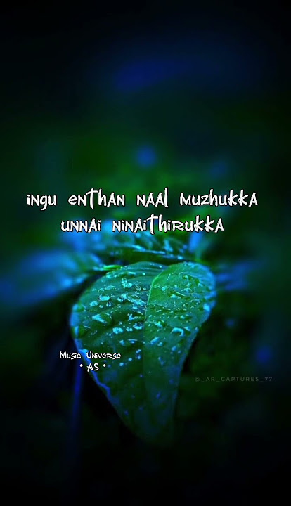 💕Enthan Uyire💕Unnaruge Naan Irundhal💕Deva💕 #musicuniverse #tamilstatussongs #lyricsvideo