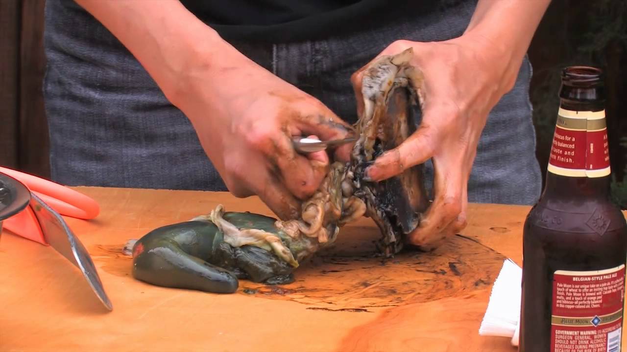 How To Clean An Abalone with Phil Tran