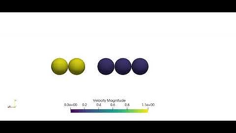 Simulation of the Newton