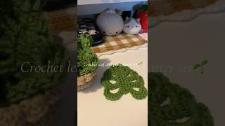 Monstera leaf & pot/planter crochet coaster set🌱 || #crochet #crochetcoaster