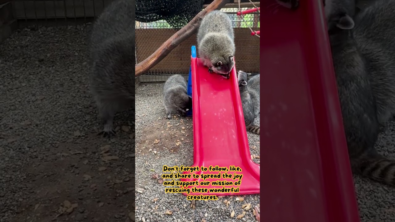 Having a good time with the 