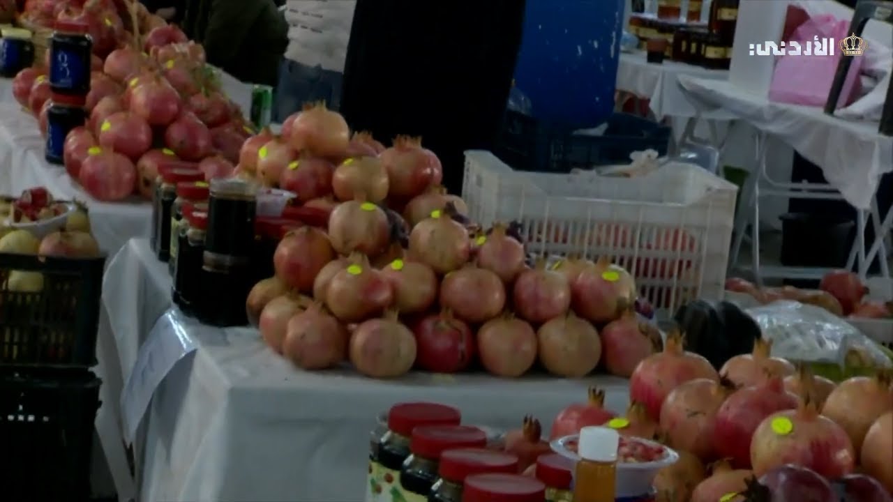 مباشر | مهرجان الرمان - محافظة اربد