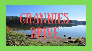 Drive with Granny