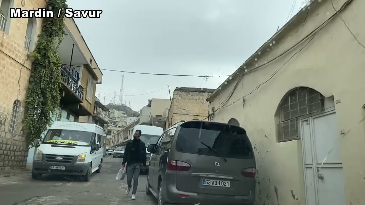 Mardin Savur