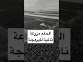 الحلم هو مساق البرمجة الشامل في مزرعة نائية 💚