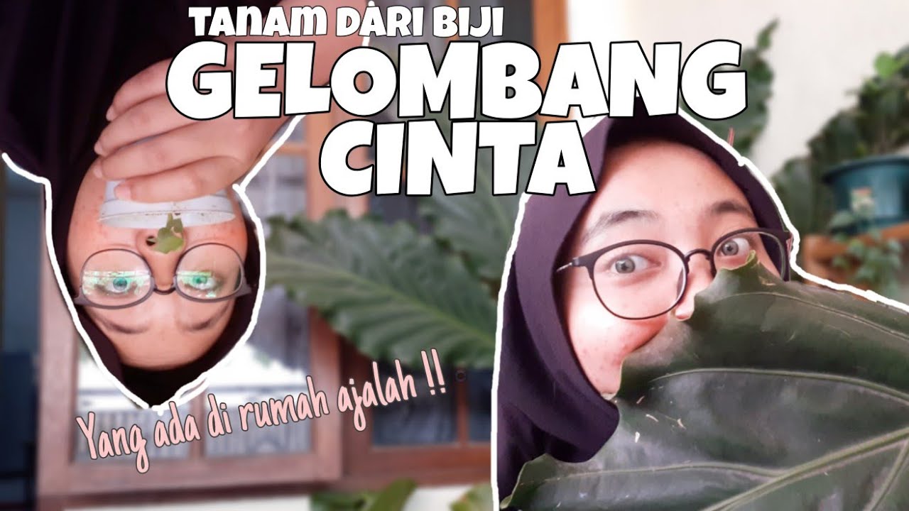 ARTATA | TANAM GELOMBANG CINTA DARI BIJI 