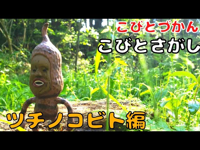 こびとづかん】ツチノコビトを探そう❤️奥深い山中を探してみたらっ