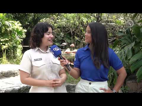 Actividades en el Zoológico de Cali para este fin de semana y vacaciones