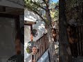 Вилла в Ялте. Сьемка видео. #агентствонедвижимости #купитьдомуморя #купитьдом