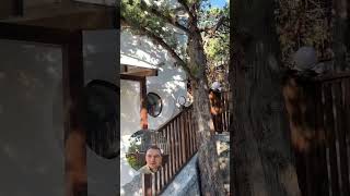 Вилла в Ялте. Сьемка видео. #агентствонедвижимости #купитьдомуморя #купитьдом