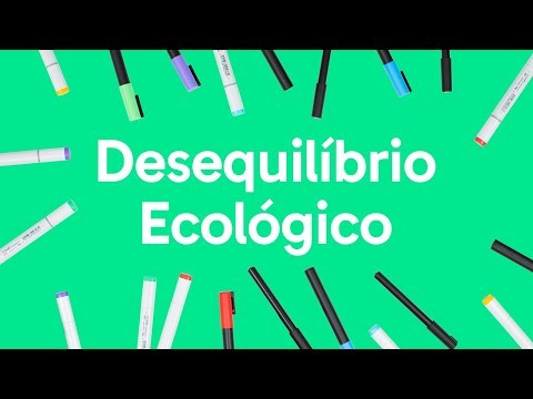 Vídeo: Qual é o desequilíbrio atual?